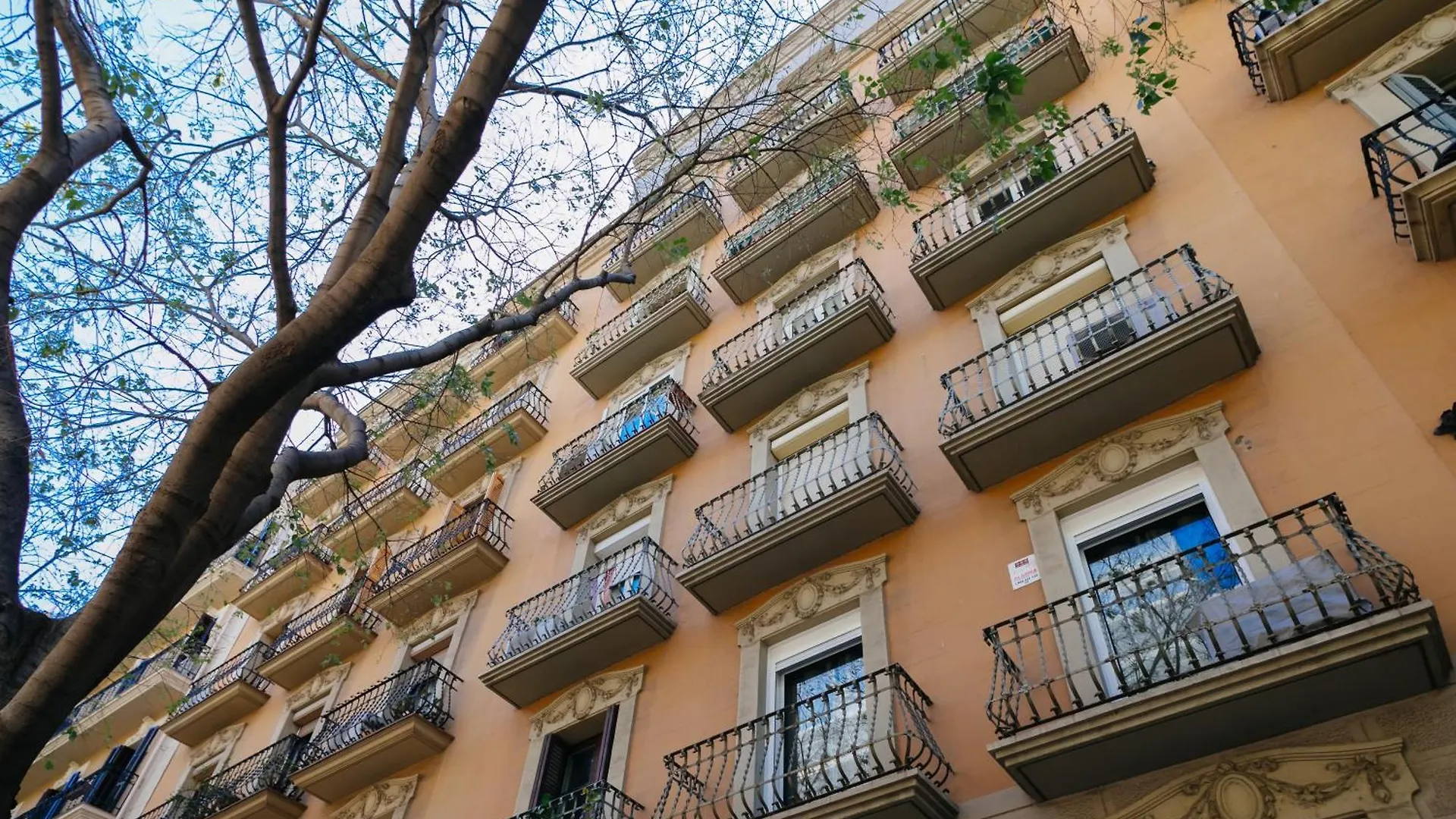 ברצלונה Cute Apartment